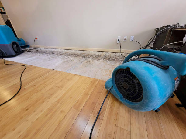 Professional Structural Drying technician working in Ridgewood, NJ